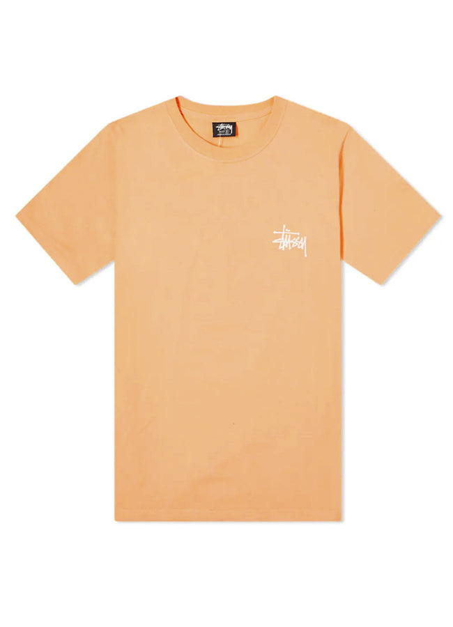 Basic Stussy Tee 1904649